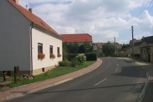 P0001499    