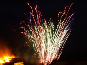 P9079139