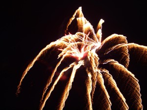 P9079156