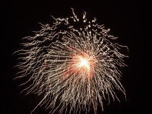 P9079167