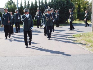 P9099395
