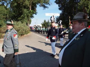 P9099409