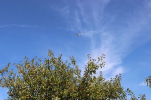 IMG 9775