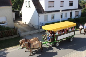 IMG 8886