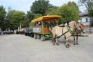 IMG 8583
