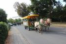 IMG 8585