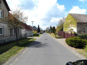 SAM_3969